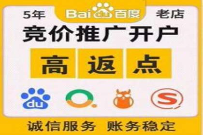 百度竞价公司案例分析：优化策略全解析